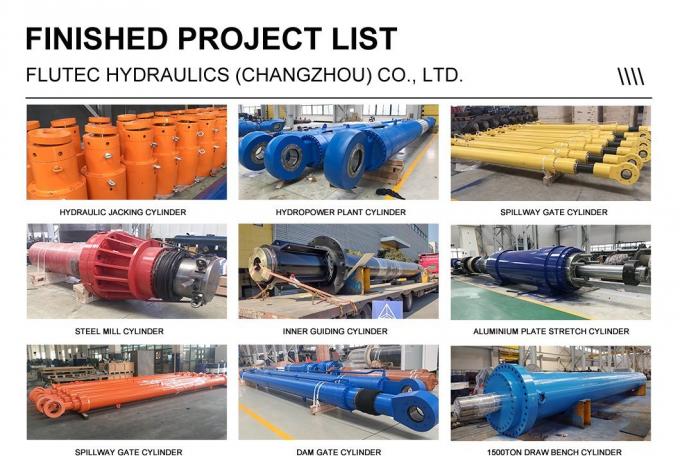 Rodzaj tłokowy Cylindry hydrauliczne niestandardowe Cylindry nachylone piecem 3