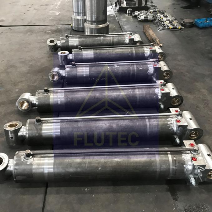 100% Badanie ciśnienia Cylinder hydrauliczny okrętowy podwójnie działający dla żurawia statku 5