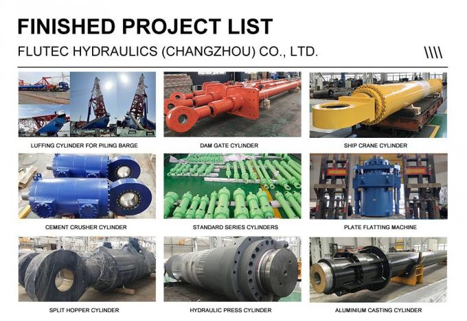 Dwukrotnie działający cylinder hydrauliczny na morzu 100% badania ciśnienia DNV ISO9001 zatwierdzone 6