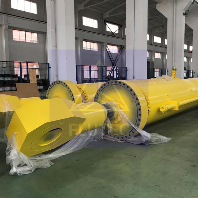 Cylinder hydrauliczny długotrwałego układu węglowego dla elektrowni wodnych 1